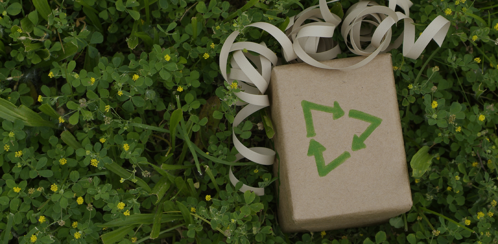 Wenchen Packaging construiește o ecologie durabilă cu tine